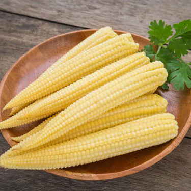 Baby Corn